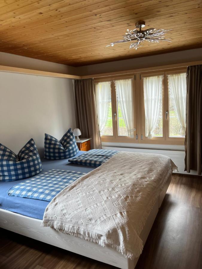 "Terrasse" Nessental Hotel Gadmen Екстериор снимка