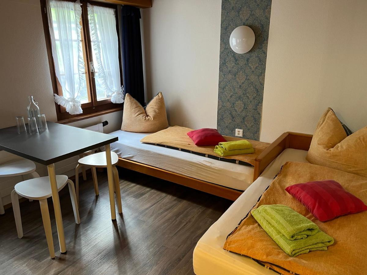 "Terrasse" Nessental Hotel Gadmen Екстериор снимка