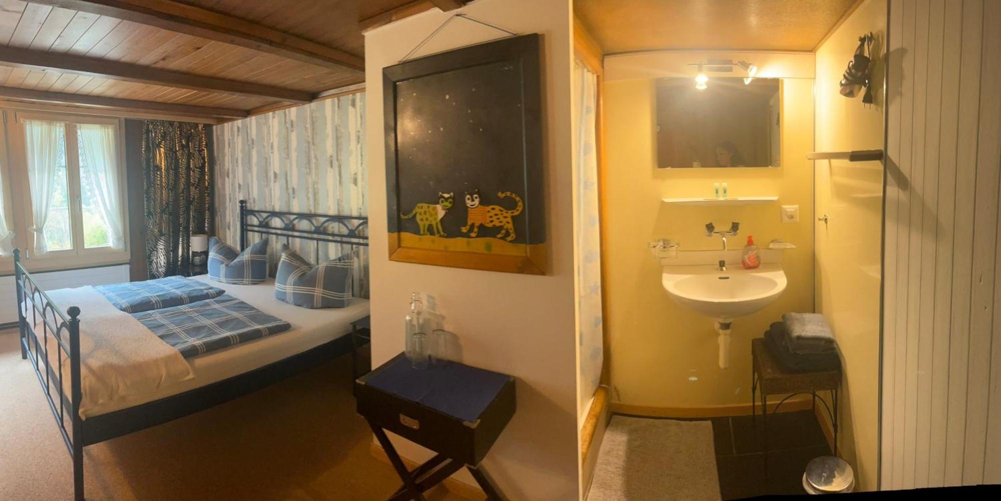 "Terrasse" Nessental Hotel Gadmen Екстериор снимка
