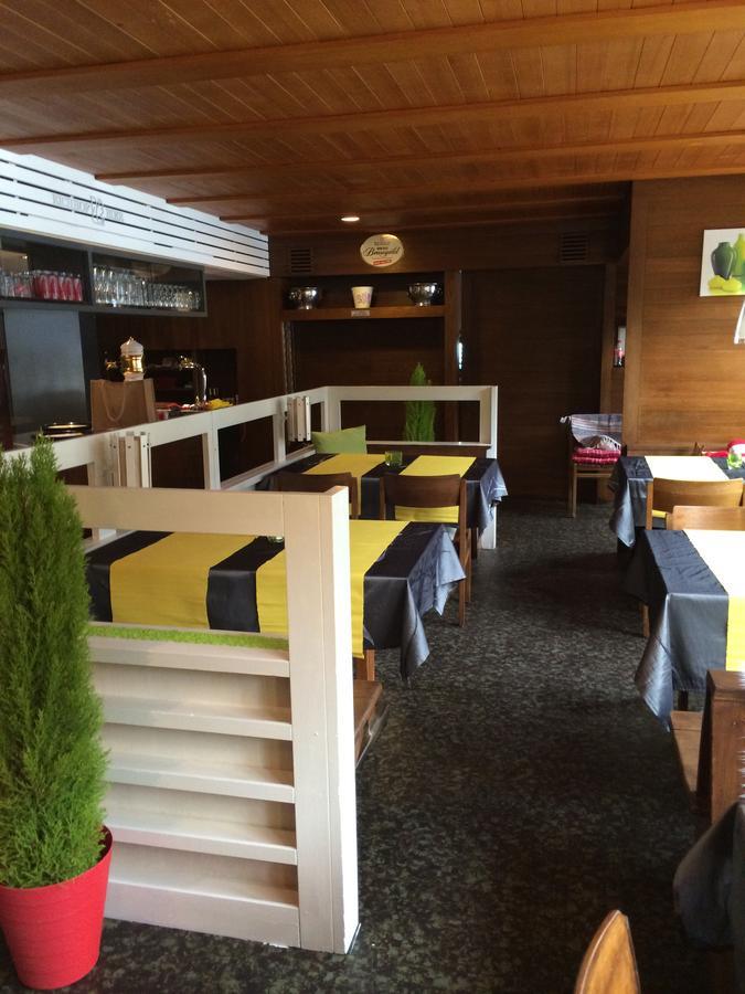 "Terrasse" Nessental Hotel Gadmen Екстериор снимка