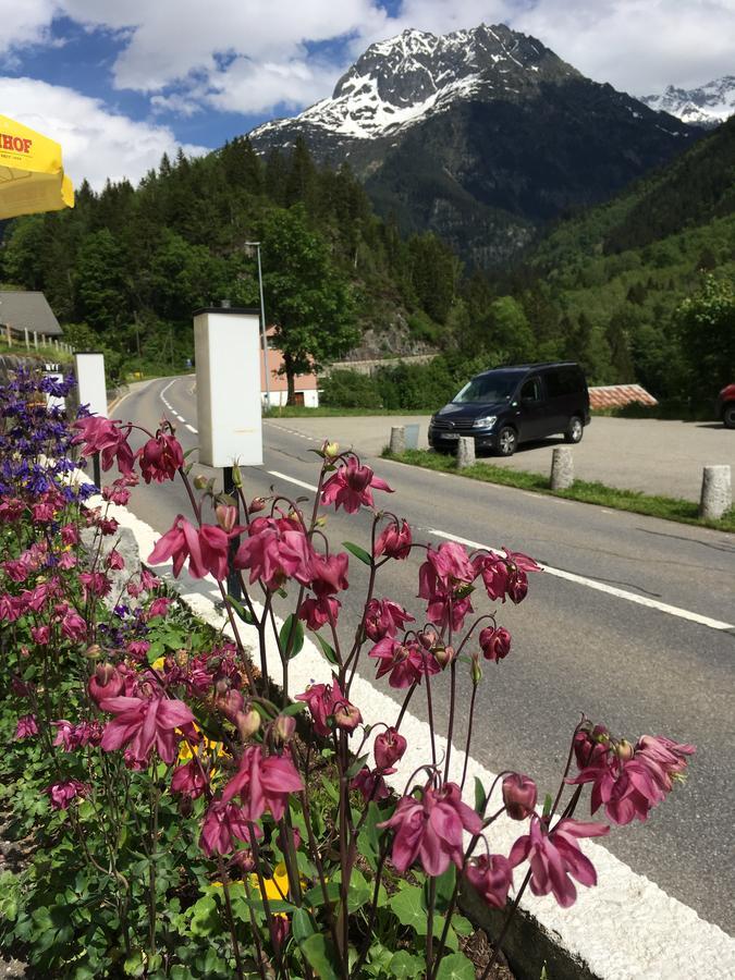 "Terrasse" Nessental Hotel Gadmen Екстериор снимка