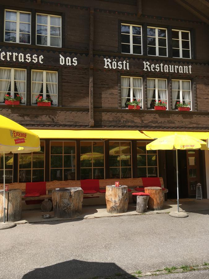 "Terrasse" Nessental Hotel Gadmen Екстериор снимка