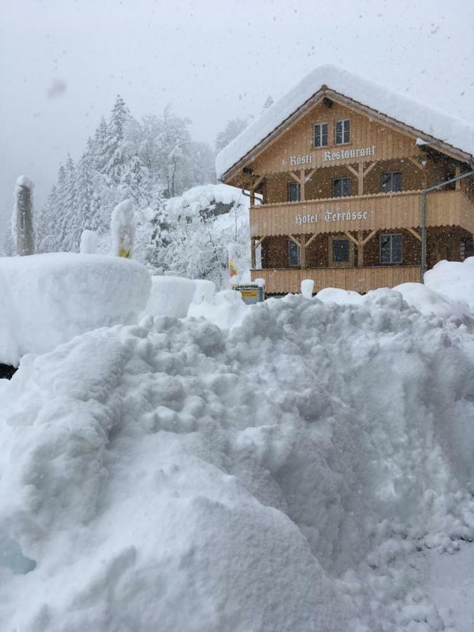"Terrasse" Nessental Hotel Gadmen Екстериор снимка
